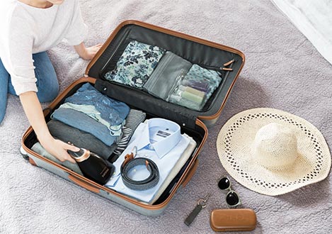 handheld steam cleaner