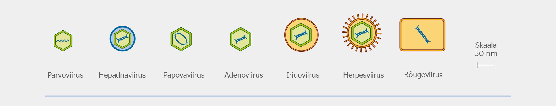 dns virusi